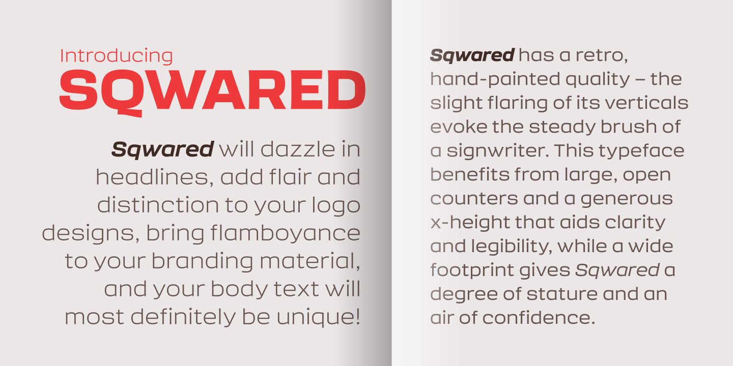 Sqwared Bold Font preview